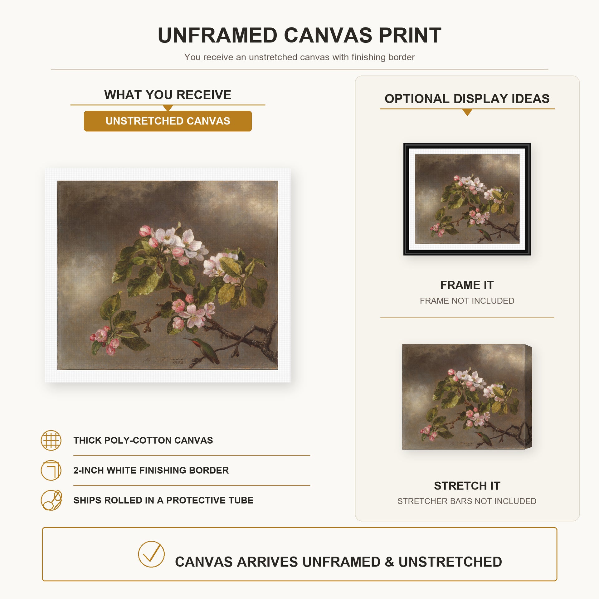 Martin Johnson Heade - Hummingbird and Apple Blossoms canvas print size comparison and framing display infographic