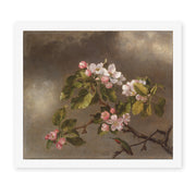 Martin Johnson Heade's 'Hummingbird and Apple Blossoms' painting reproduced as a rolled canvas print