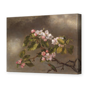 Martin Johnson Heade's 'Hummingbird and Apple Blossoms' painting reproduced as a gallery-wrapped canvas print