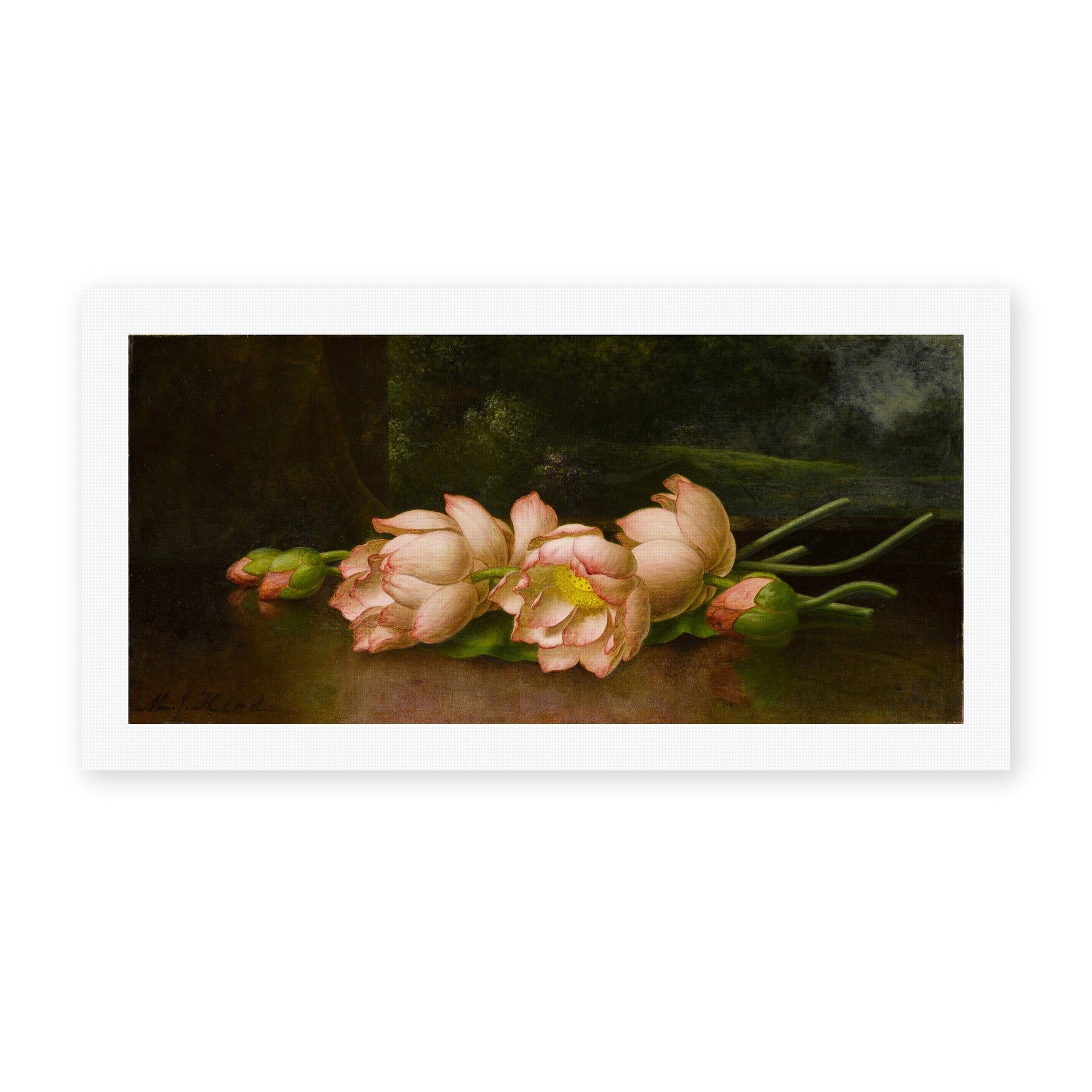 Martin Johnson Heade's 'Lotus Flowers' painting reproduced as a rolled canvas print