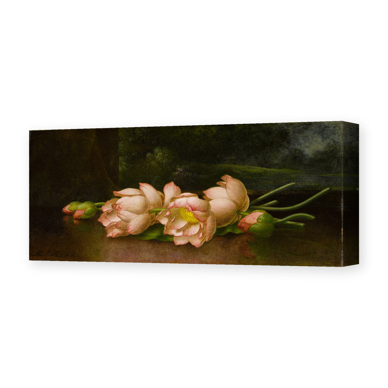 Martin Johnson Heade's 'Lotus Flowers' painting reproduced as a gallery-wrapped canvas print