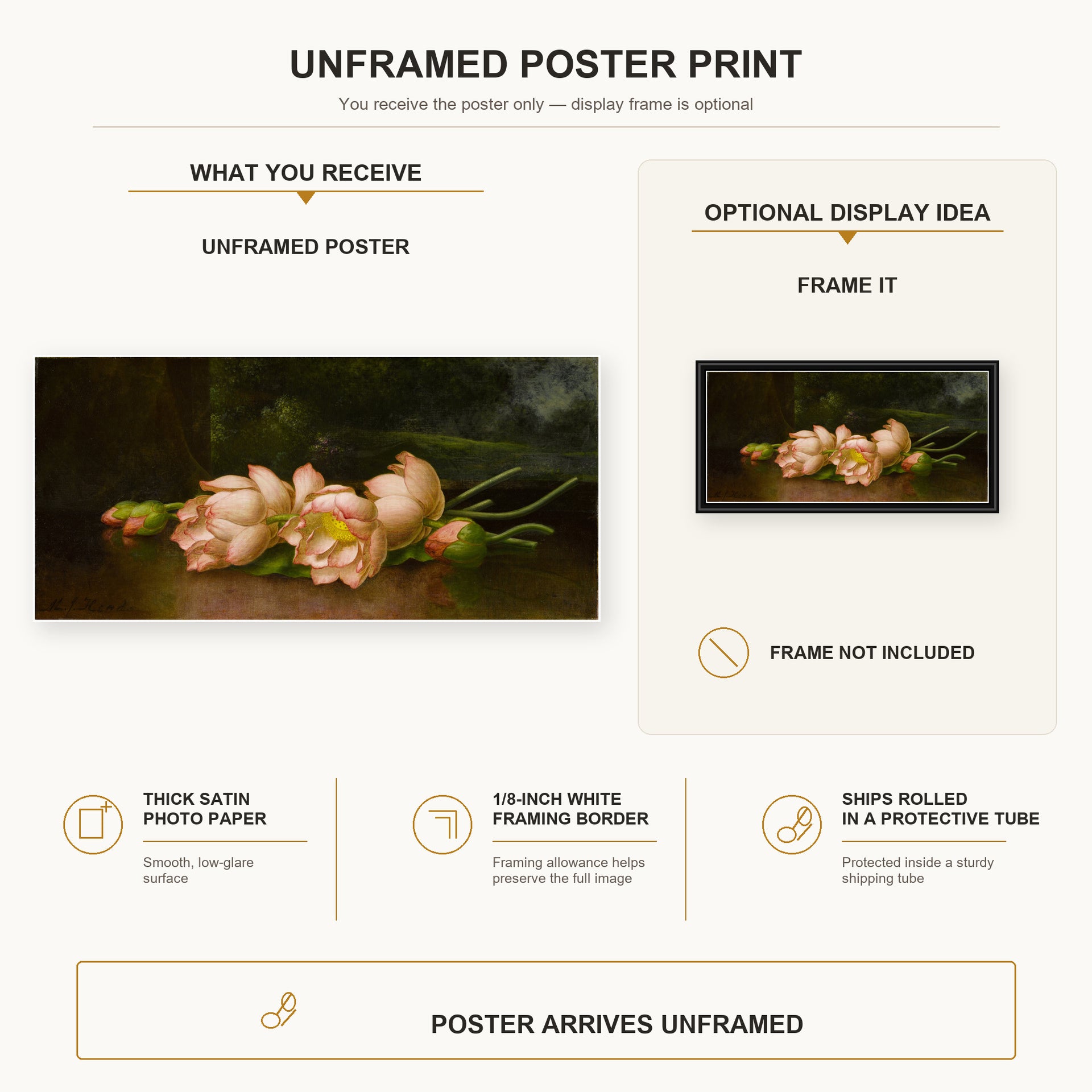 Martin Johnson Heade - Lotus Flowers poster print size comparison and framing display infographic