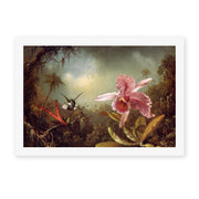 Martin Johnson Heade's 'Orchid with Two Hummingbirds' painting reproduced as a rolled canvas print