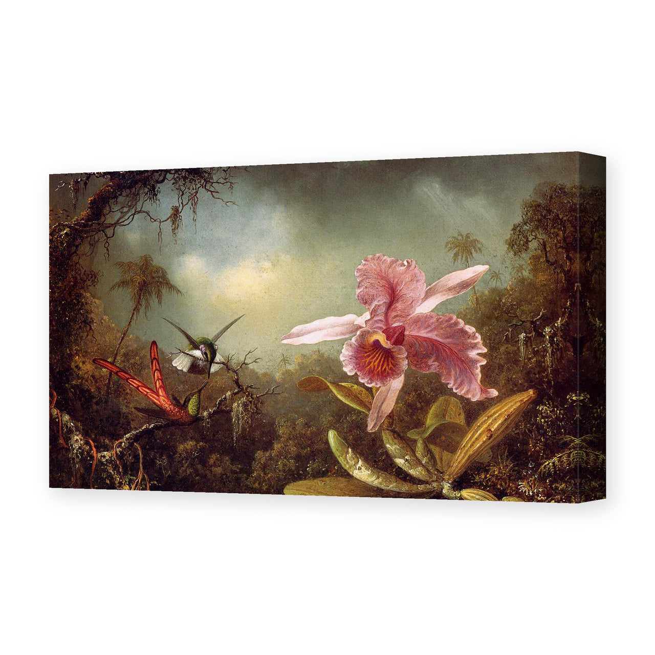 Martin Johnson Heade's 'Orchid with Two Hummingbirds' painting reproduced as a gallery-wrapped canvas print