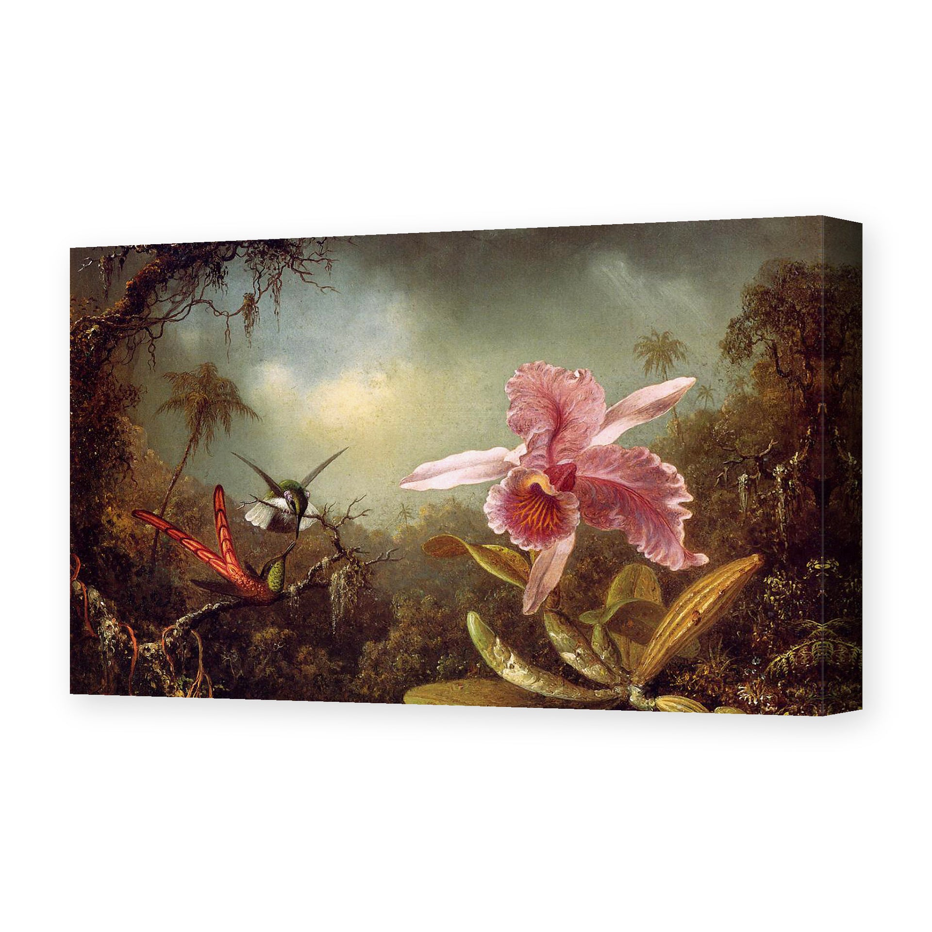 Martin Johnson Heade's 'Orchid with Two Hummingbirds' painting reproduced as a gallery-wrapped canvas print