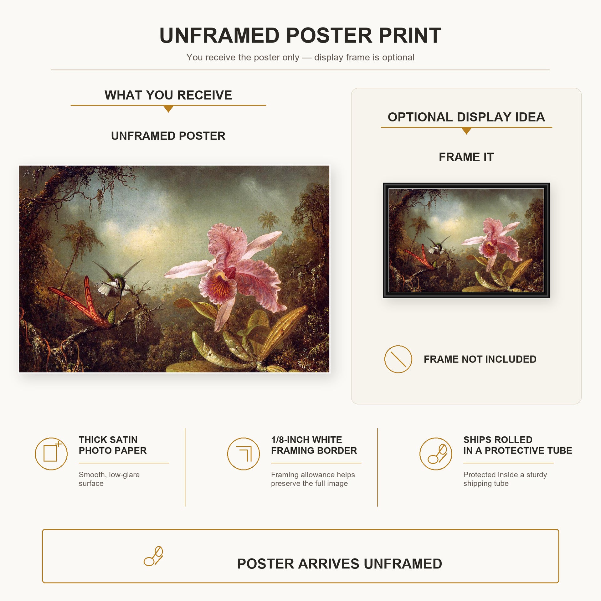 Martin Johnson Heade - Orchid with Two Hummingbirds poster print size comparison and framing display infographic