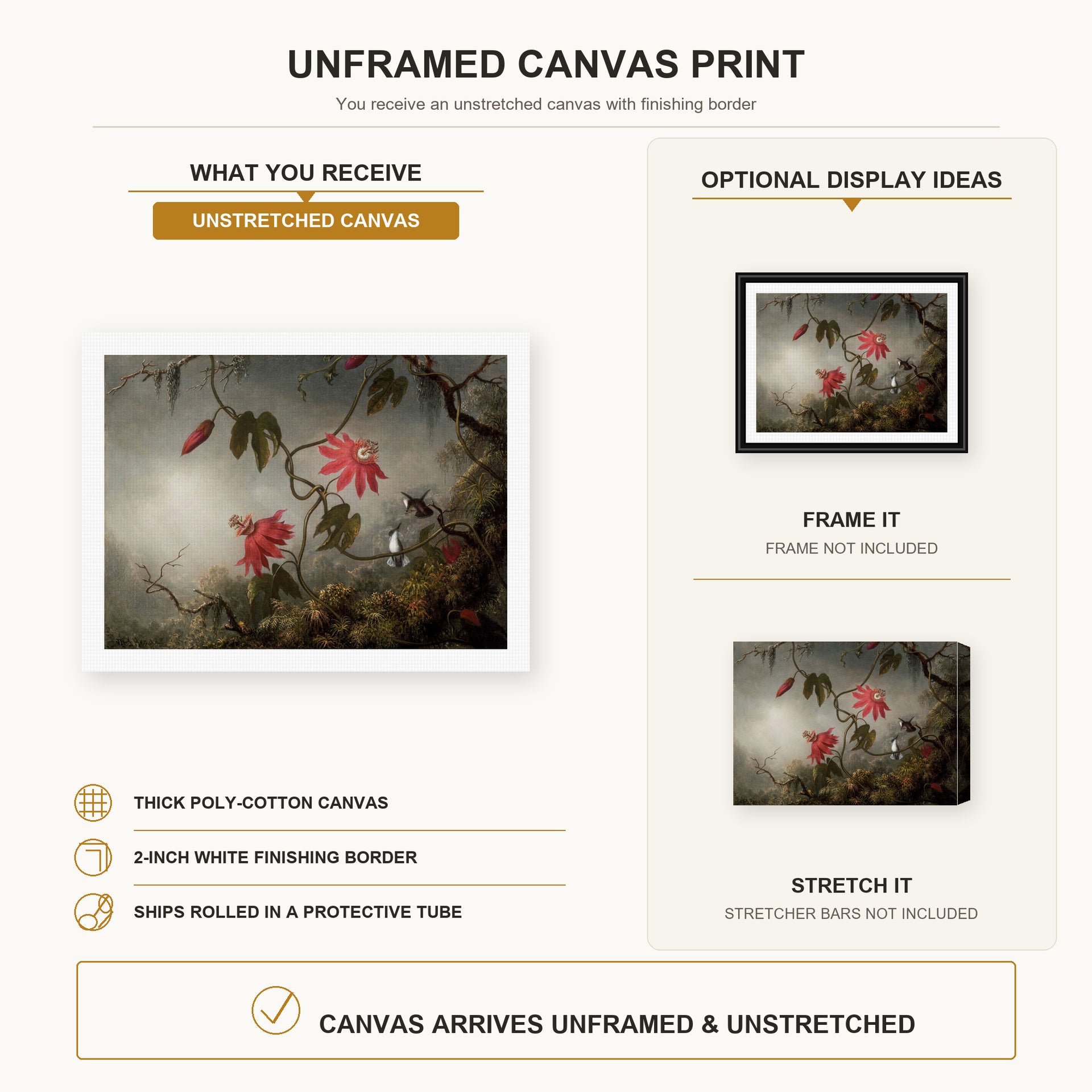 Martin Johnson Heade - Passion Flowers and Hummingbirds canvas print size comparison and framing display infographic
