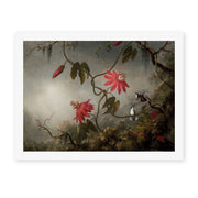 Martin Johnson Heade's 'Passion Flowers and Hummingbirds' painting reproduced as a rolled canvas print
