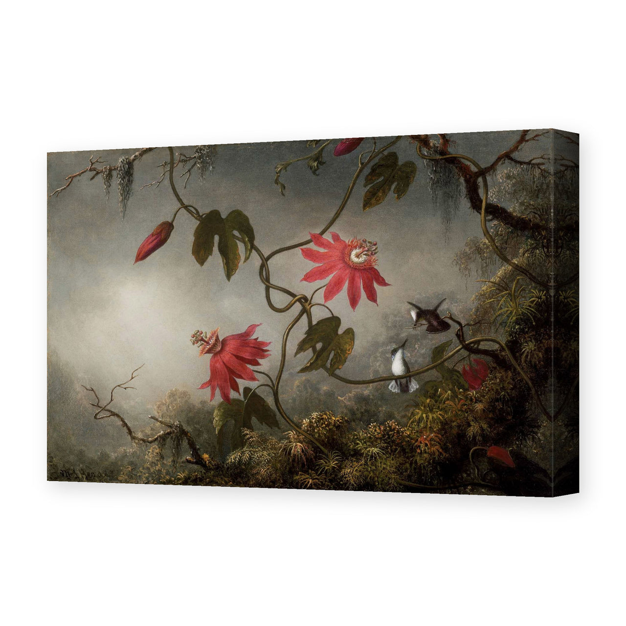 Martin Johnson Heade's 'Passion Flowers and Hummingbirds' painting reproduced as a gallery-wrapped canvas print