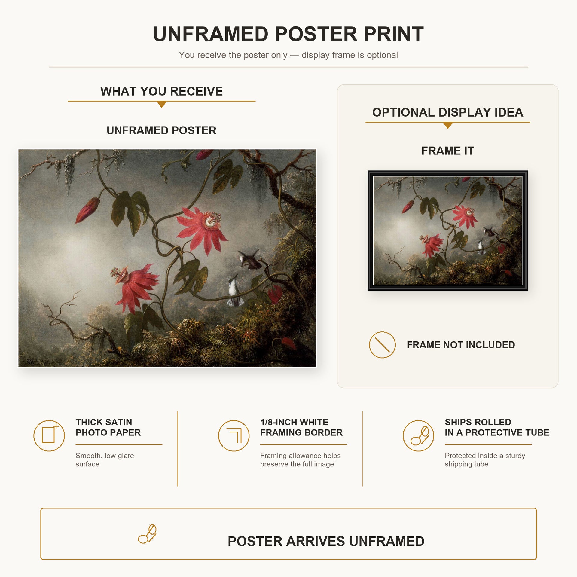 Martin Johnson Heade - Passion Flowers and Hummingbirds poster print size comparison and framing display infographic