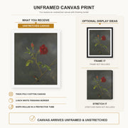 Martin Johnson Heade - Red Rose with Ruby Throat canvas print size comparison and framing display infographic