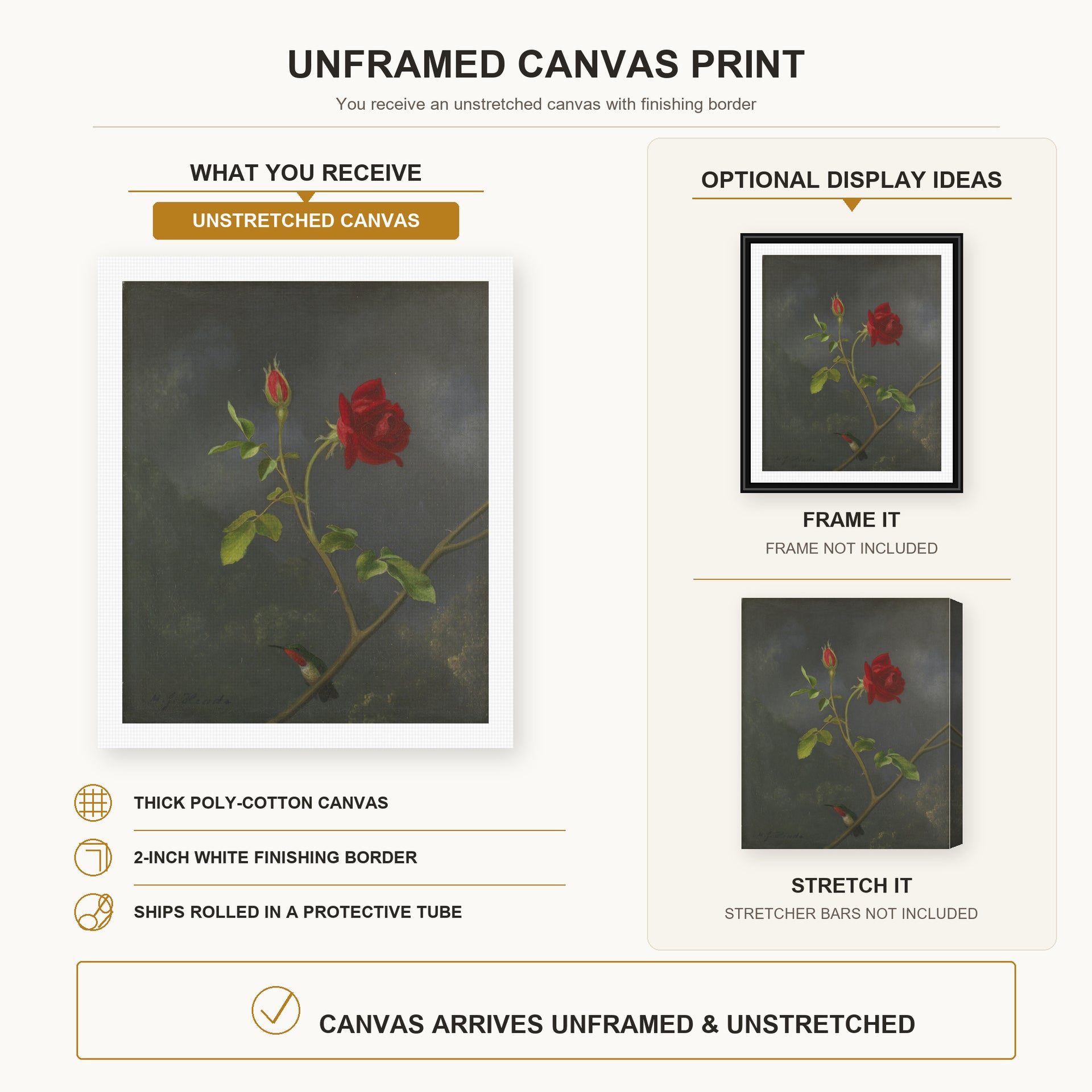 Martin Johnson Heade - Red Rose with Ruby Throat canvas print size comparison and framing display infographic