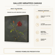 Martin Johnson Heade - Red Rose with Ruby Throat gallery wrap canvas construction and hanging details infographic