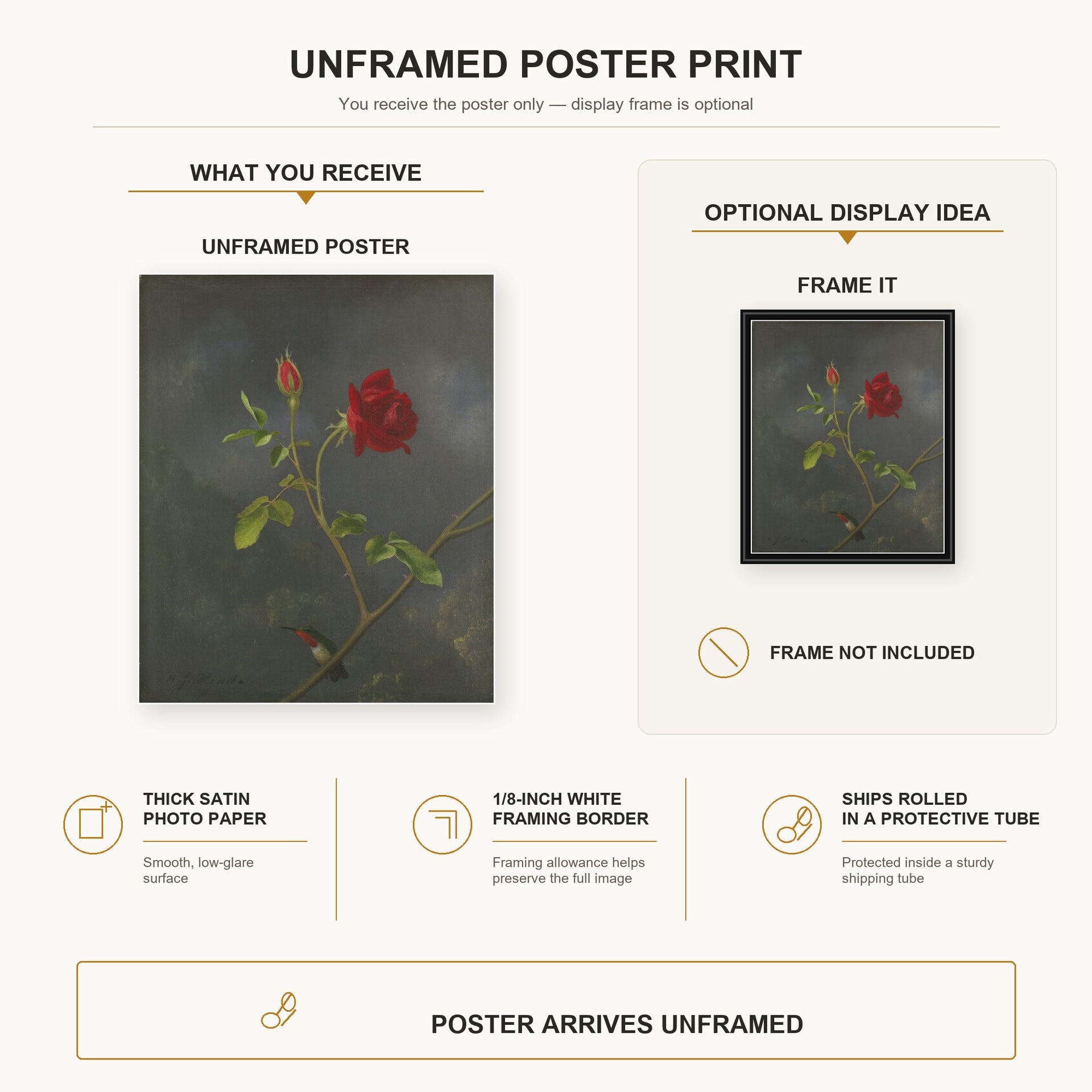 Martin Johnson Heade - Red Rose with Ruby Throat poster print size comparison and framing display infographic