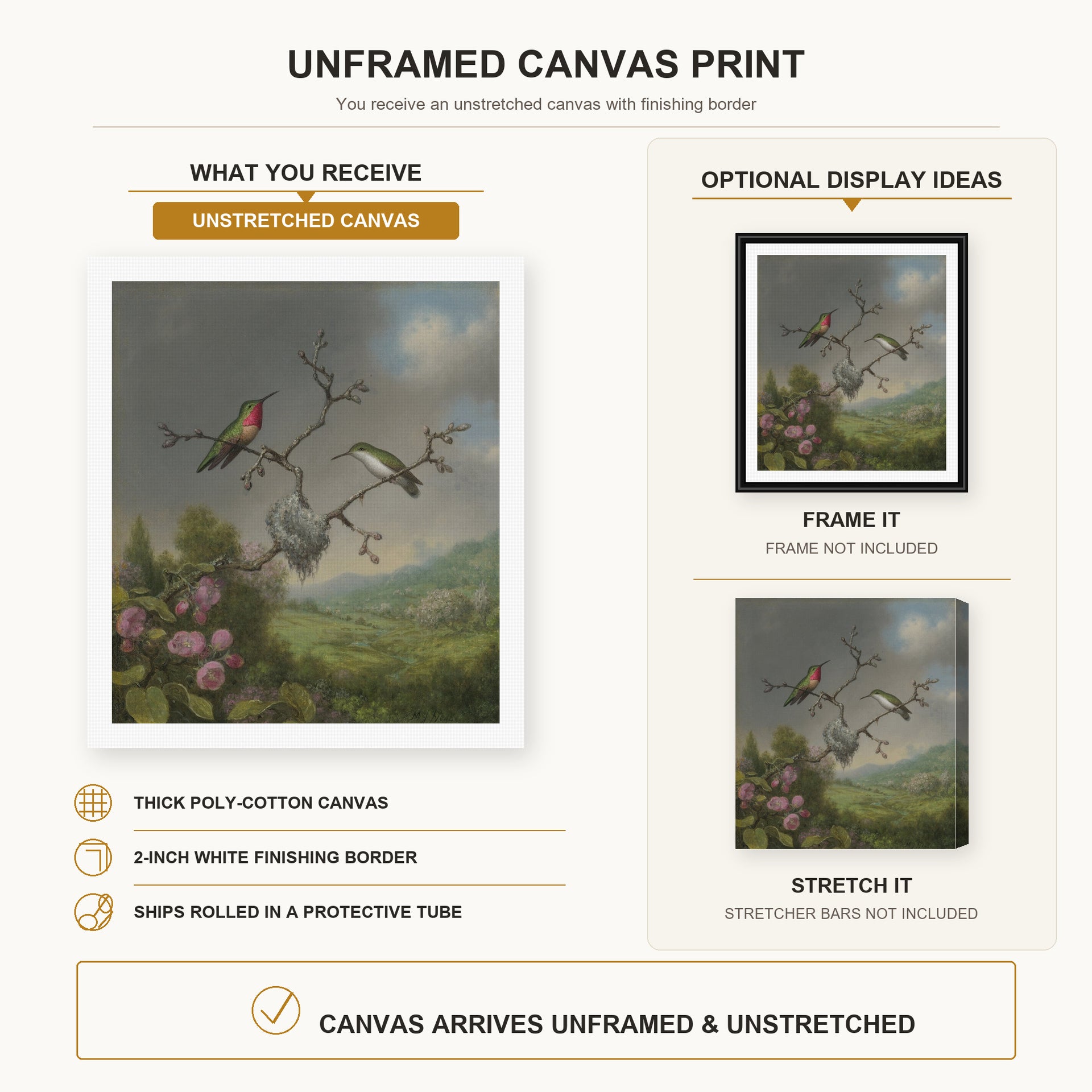 Martin Johnson Heade - Ruby Throated Hummingbird canvas print size comparison and framing display infographic