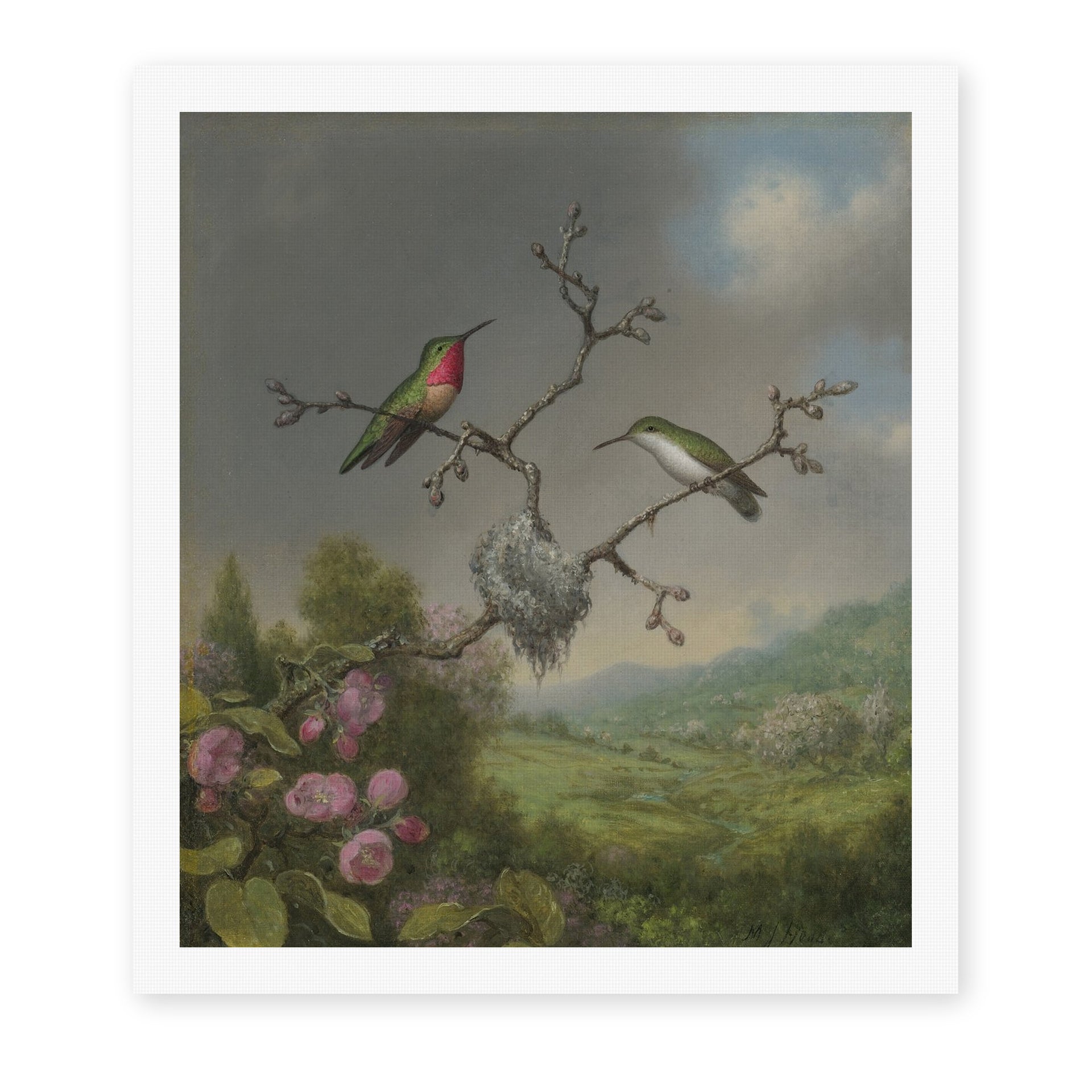 Martin Johnson Heade's 'Ruby Throated Hummingbird' painting reproduced as a rolled canvas print