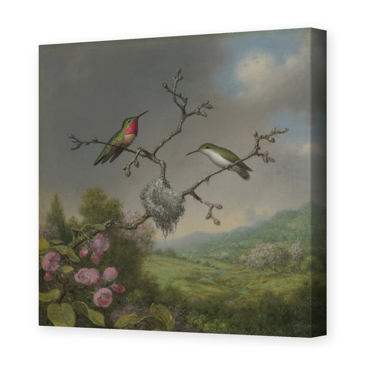 Martin Johnson Heade's 'Ruby Throated Hummingbird' painting reproduced as a gallery-wrapped canvas print