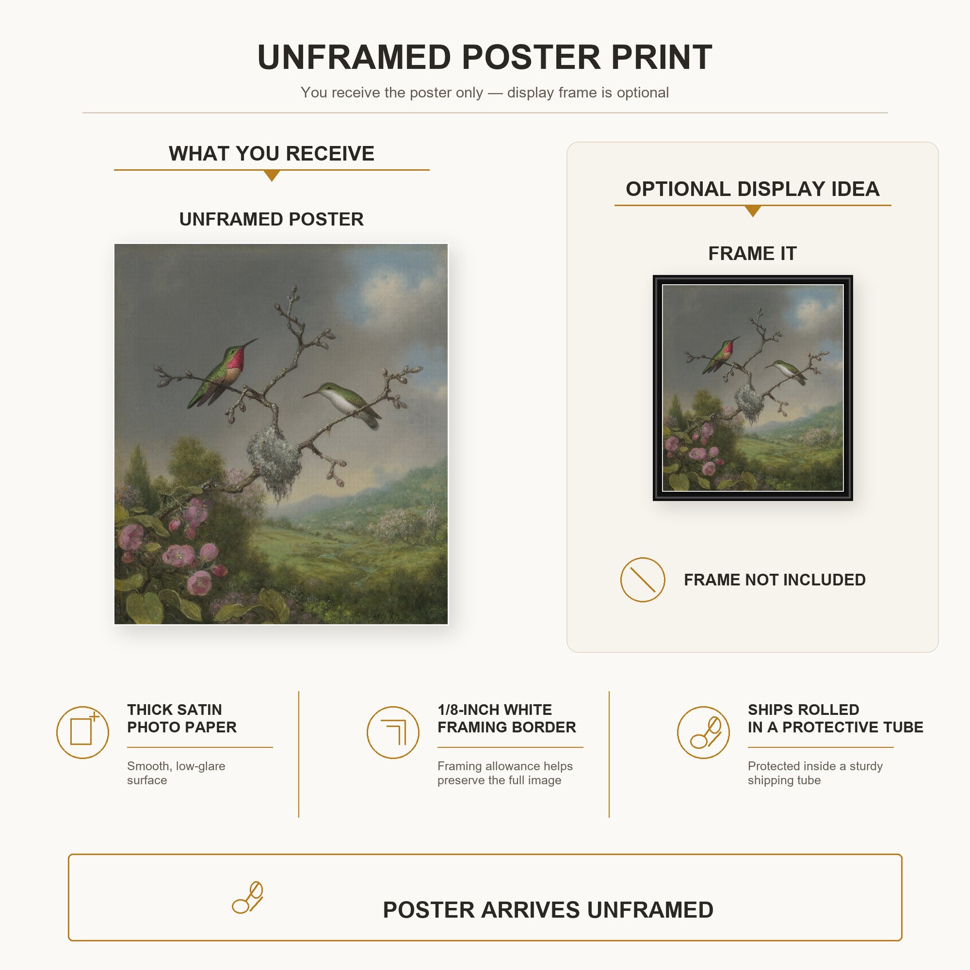 Martin Johnson Heade - Ruby Throated Hummingbird poster print size comparison and framing display infographic