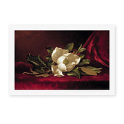 Martin Johnson Heade's 'The Magnolia Blossom' painting reproduced as a rolled canvas print