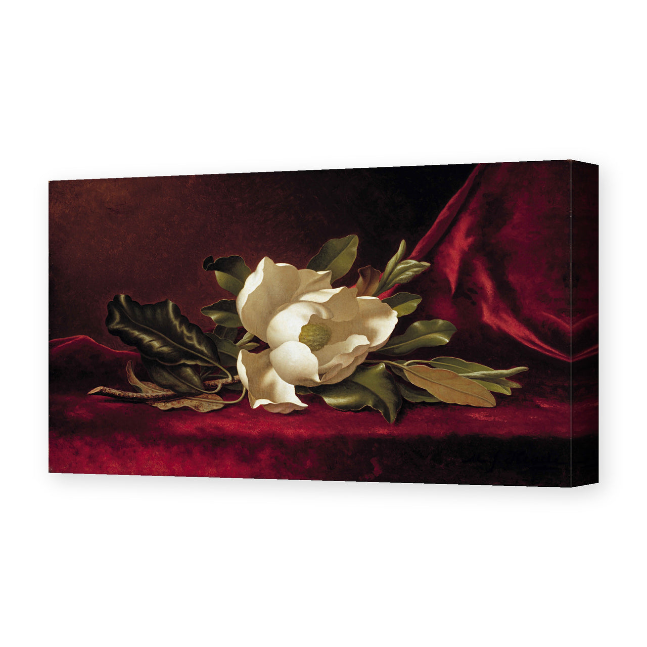 Martin Johnson Heade's 'The Magnolia Blossom' painting reproduced as a gallery-wrapped canvas print