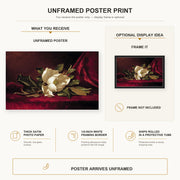 Martin Johnson Heade - The Magnolia Blossom poster print size comparison and framing display infographic