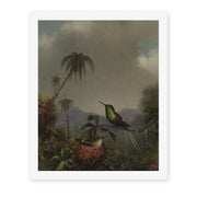 Martin Johnson Heade's 'Two Thorn Tails (Langsdorffs Thorn Tail Brazil)' painting reproduced as a rolled canvas print