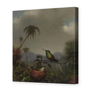 Martin Johnson Heade's 'Two Thorn Tails (Langsdorffs Thorn Tail Brazil)' painting reproduced as a gallery-wrapped canvas print