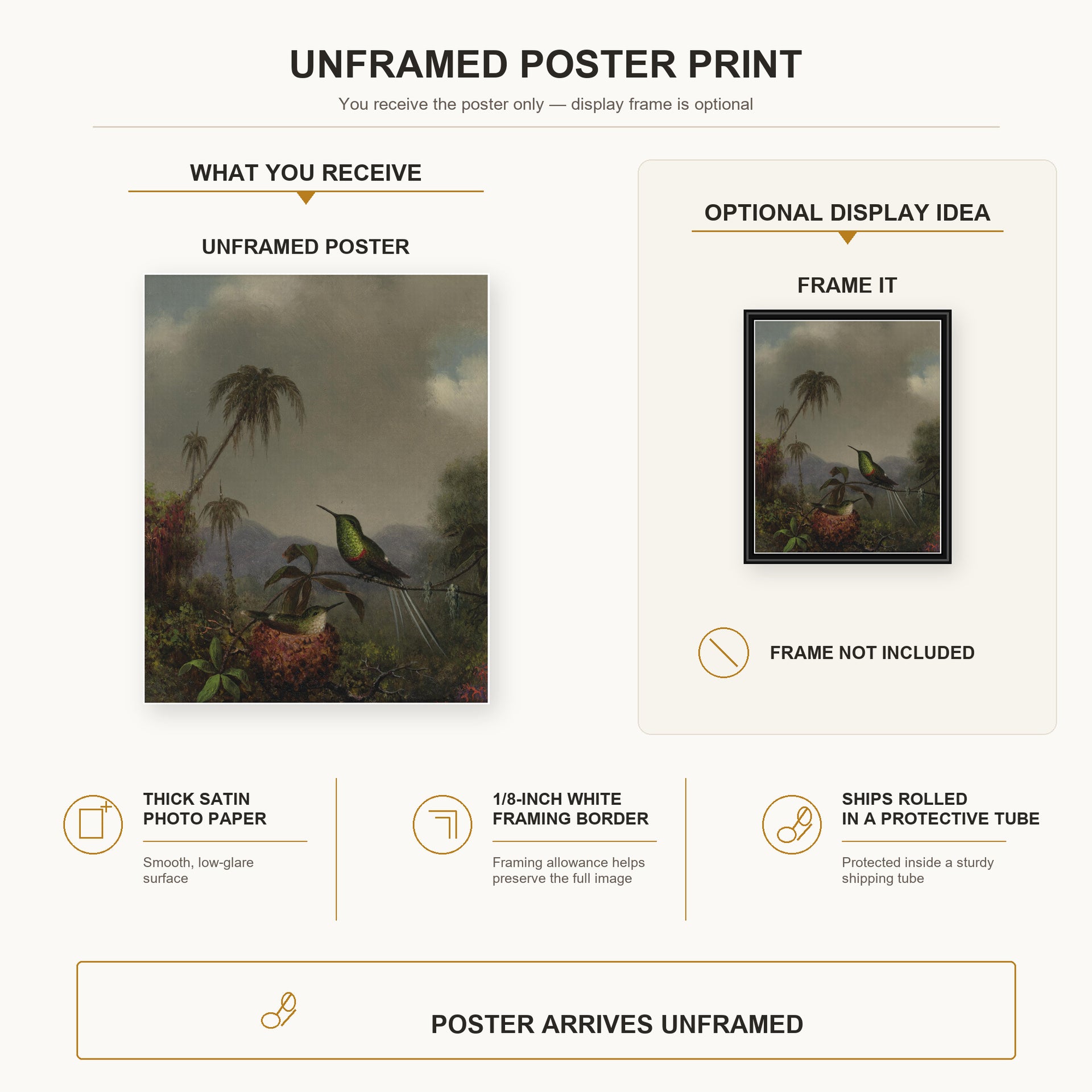 Martin Johnson Heade - Two Thorn Tails (Langsdorffs Thorn Tail Brazil) poster print size comparison and framing display infographic