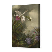 Martin Johnson Heade's 'White Orchid and Hummingbird' painting reproduced as a gallery-wrapped canvas print