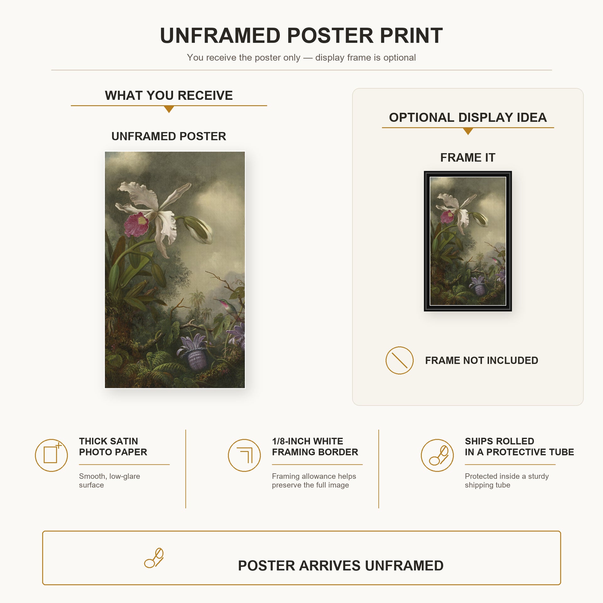 Martin Johnson Heade - White Orchid and Hummingbird poster print size comparison and framing display infographic