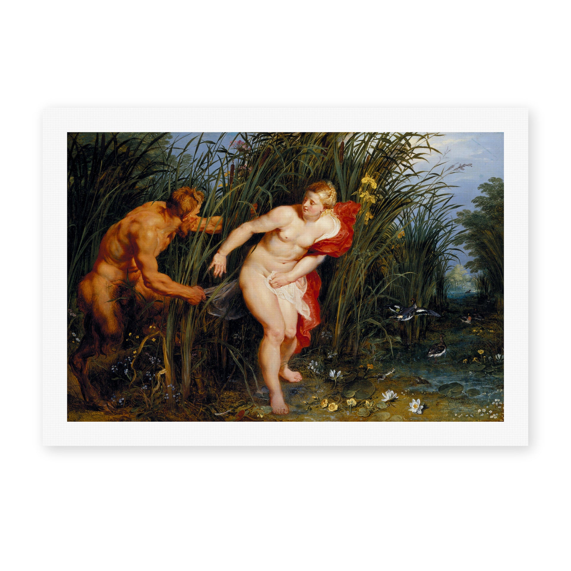 Peter Paul Rubens' 'Pan and Syrinx' painting reproduced as a rolled canvas print