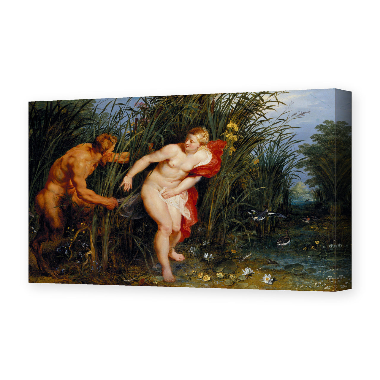 Peter Paul Rubens' 'Pan and Syrinx' painting reproduced as a gallery-wrapped canvas print