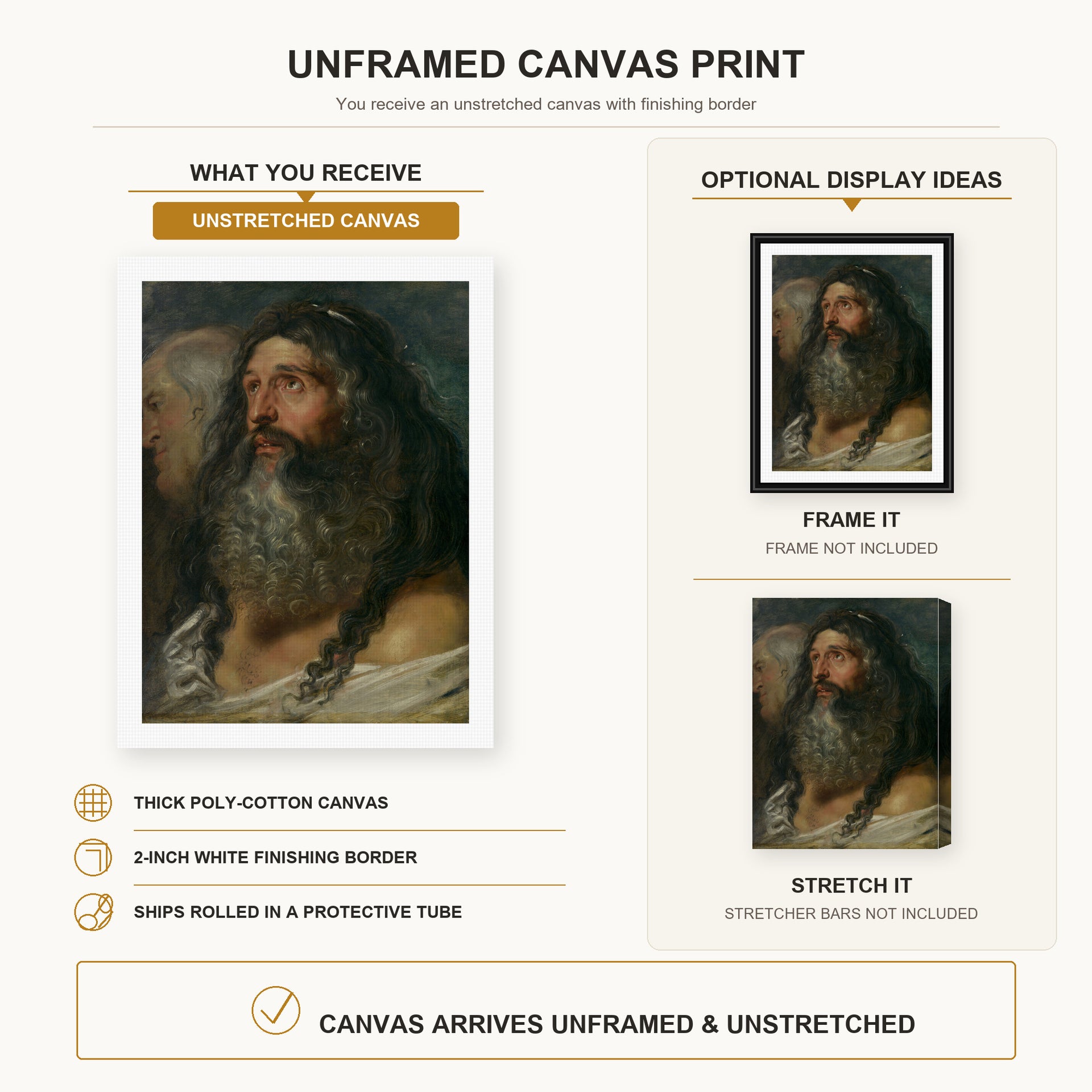 Peter Paul Rubens - Study of Two Heads canvas print size comparison and framing display infographic