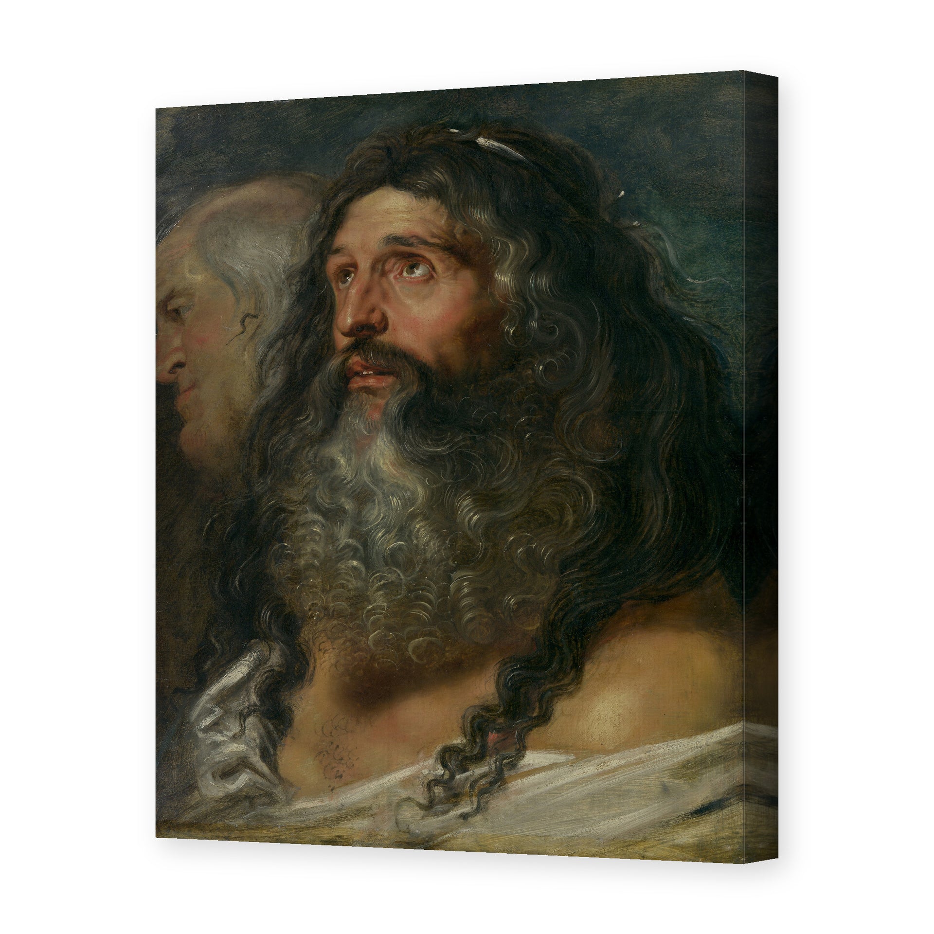 Peter Paul Rubens' 'Study of Two Heads' painting reproduced as a gallery-wrapped canvas print