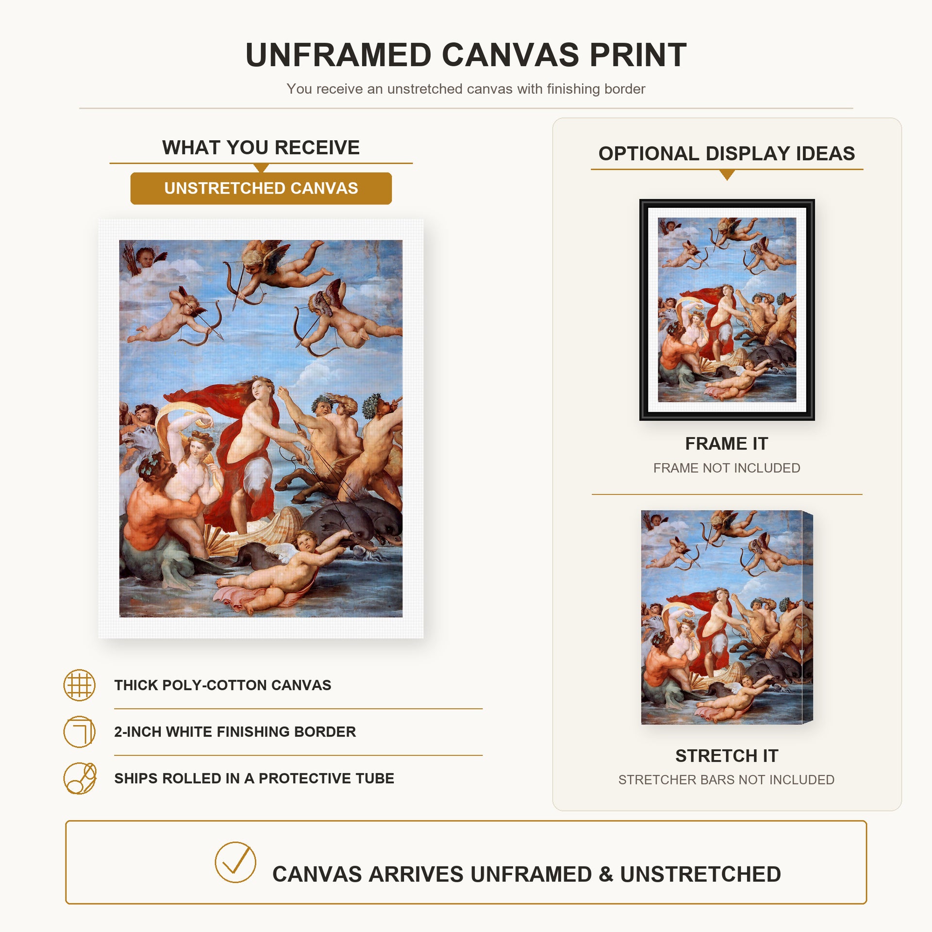 Raphael - Galatea canvas print size comparison and framing display infographic
