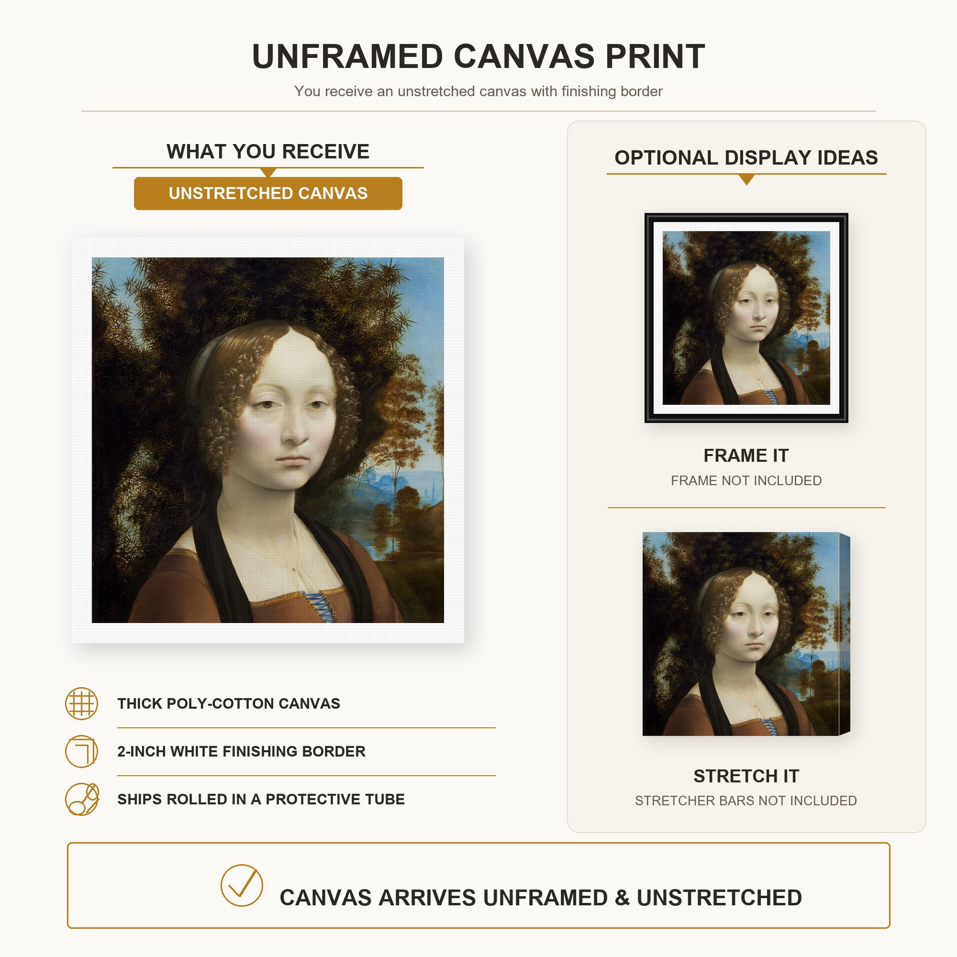 Raphael - Ginevra De Benci canvas print size comparison and framing display infographic