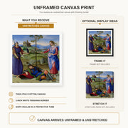 Raphael - The Vision of a Knight canvas print size comparison and framing display infographic