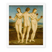 Raphael's 'Three Graces' painting reproduced as a rolled canvas print
