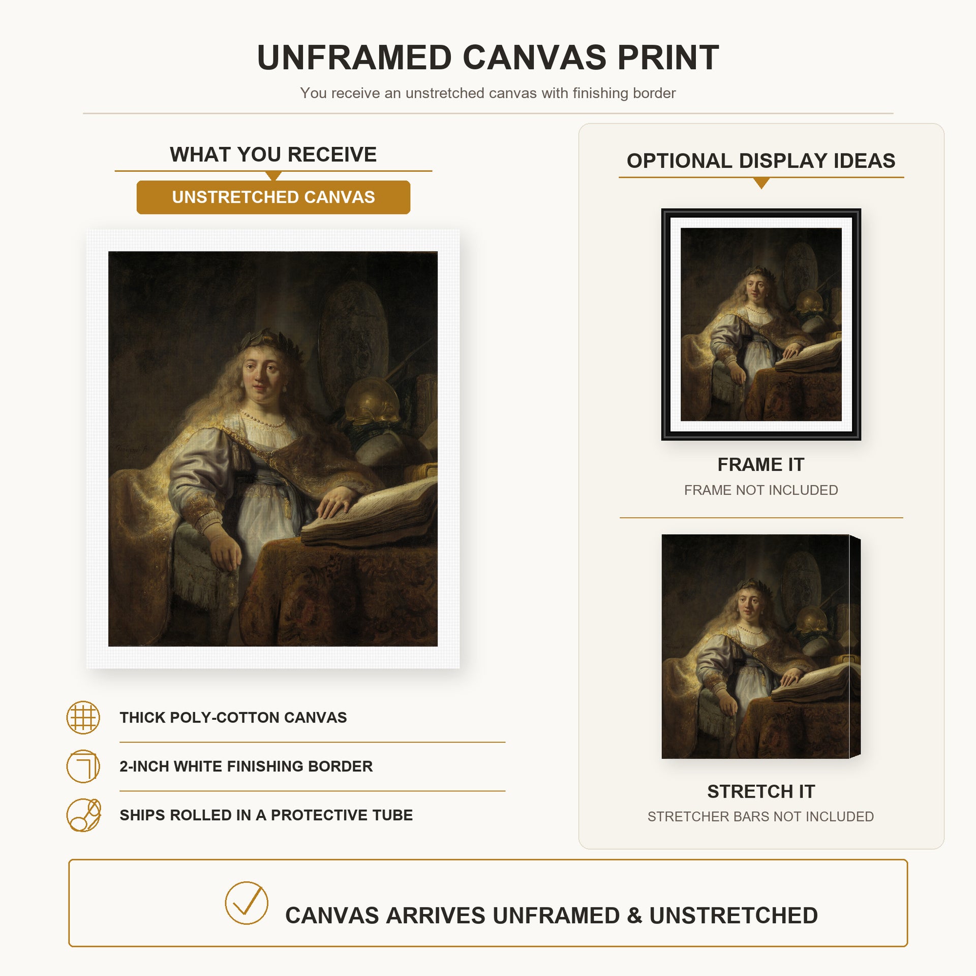 Rembrandt - Minerva in Her Study canvas print size comparison and framing display infographic