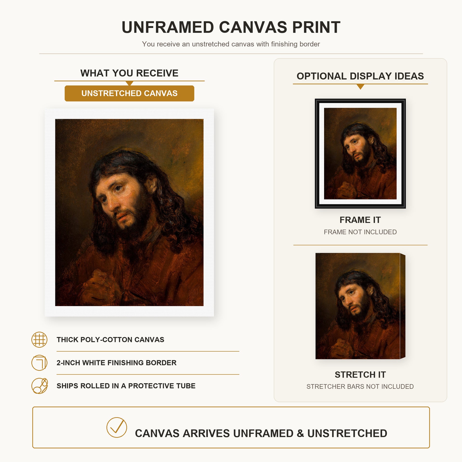 Rembrandt - Study for the Head of Young Man canvas print size comparison and framing display infographic