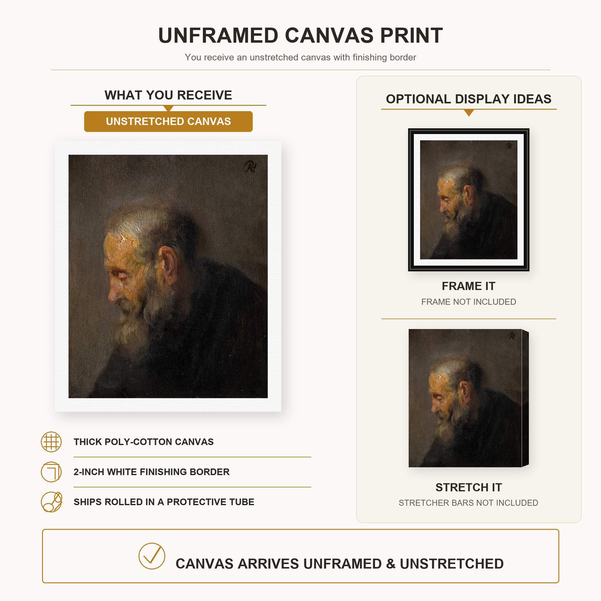 Rembrandt - Study of an Old Man in Profile canvas print size comparison and framing display infographic