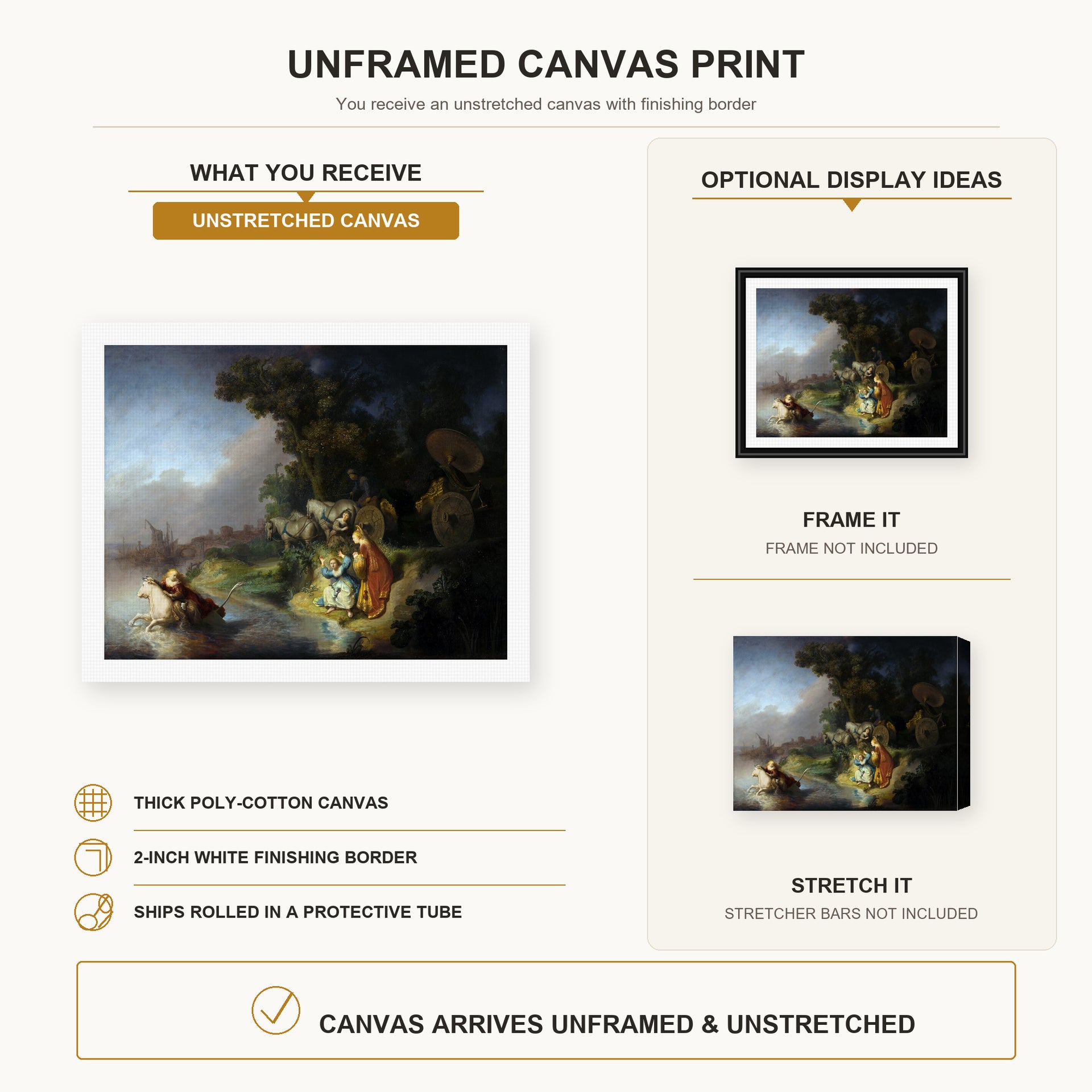 Rembrandt - The Abduction of Europa canvas print size comparison and framing display infographic