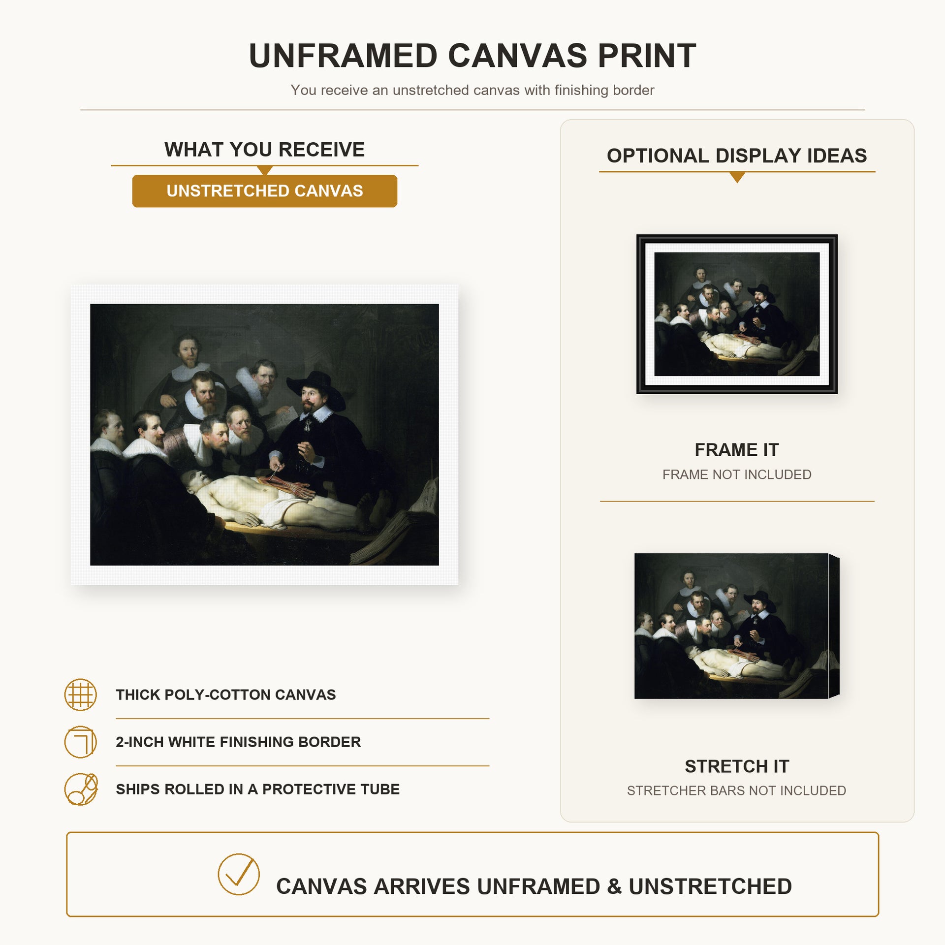 Rembrandt - The Anatomy Lesson of Dr. Nicolaes Tulp canvas print size comparison and framing display infographic