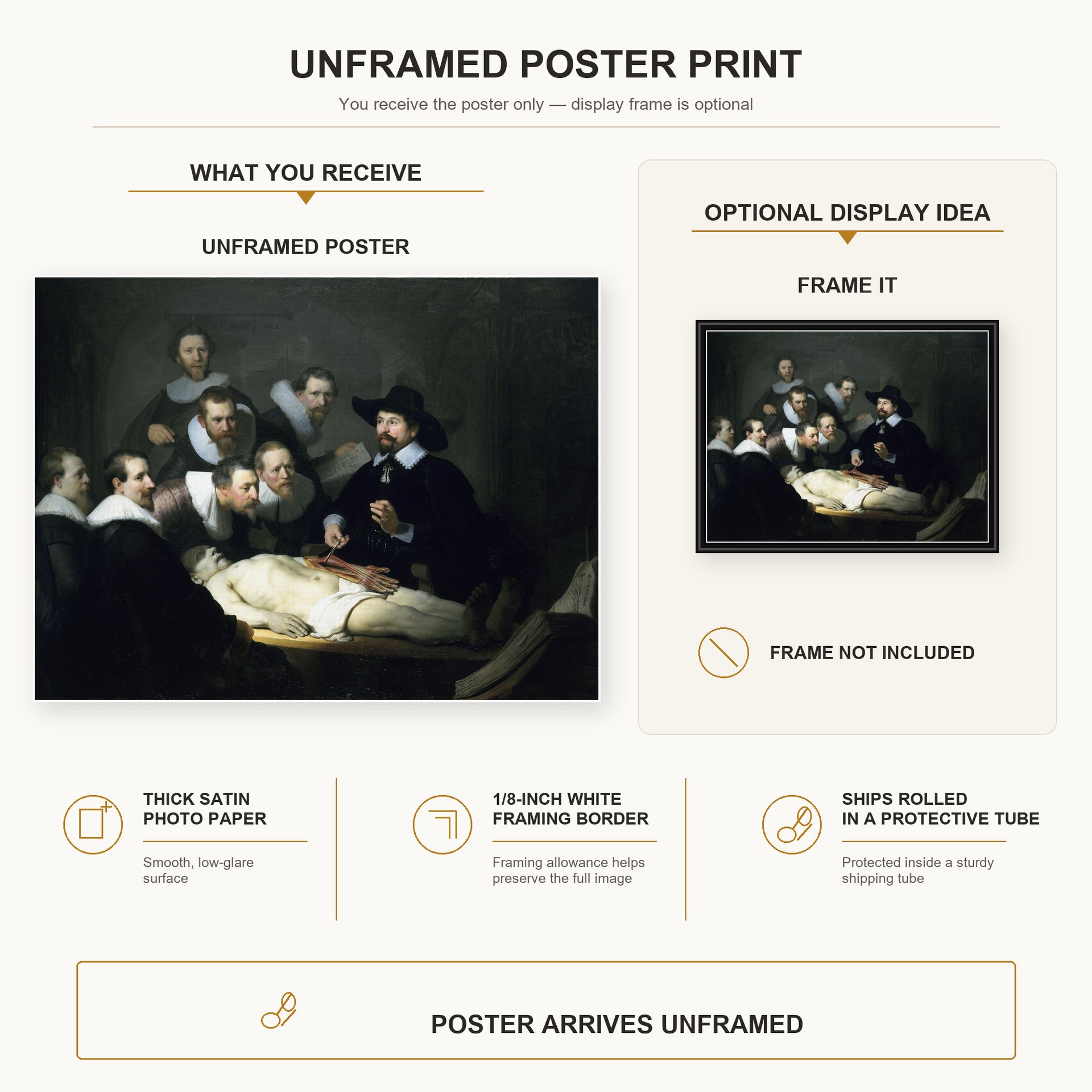 Rembrandt - The Anatomy Lesson of Dr. Nicolaes Tulp poster print size comparison and framing display infographic
