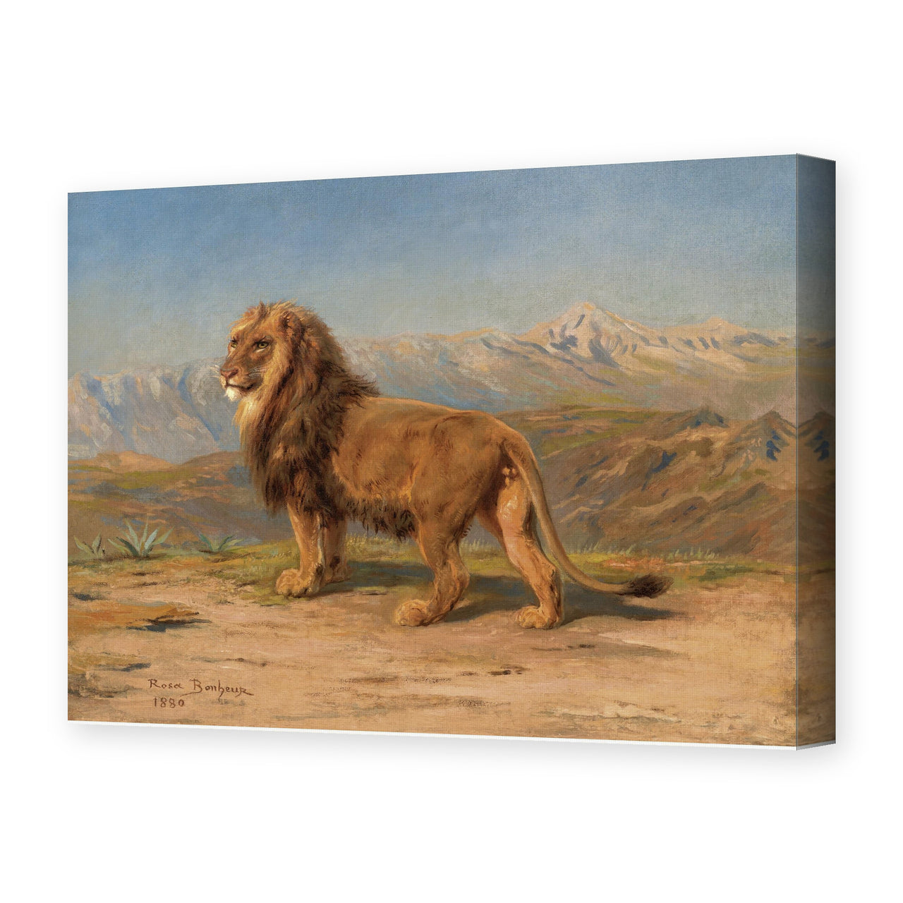 Rosa Bonheur's 'Lion in a Mountainous Landscape' painting reproduced as a gallery-wrapped canvas print