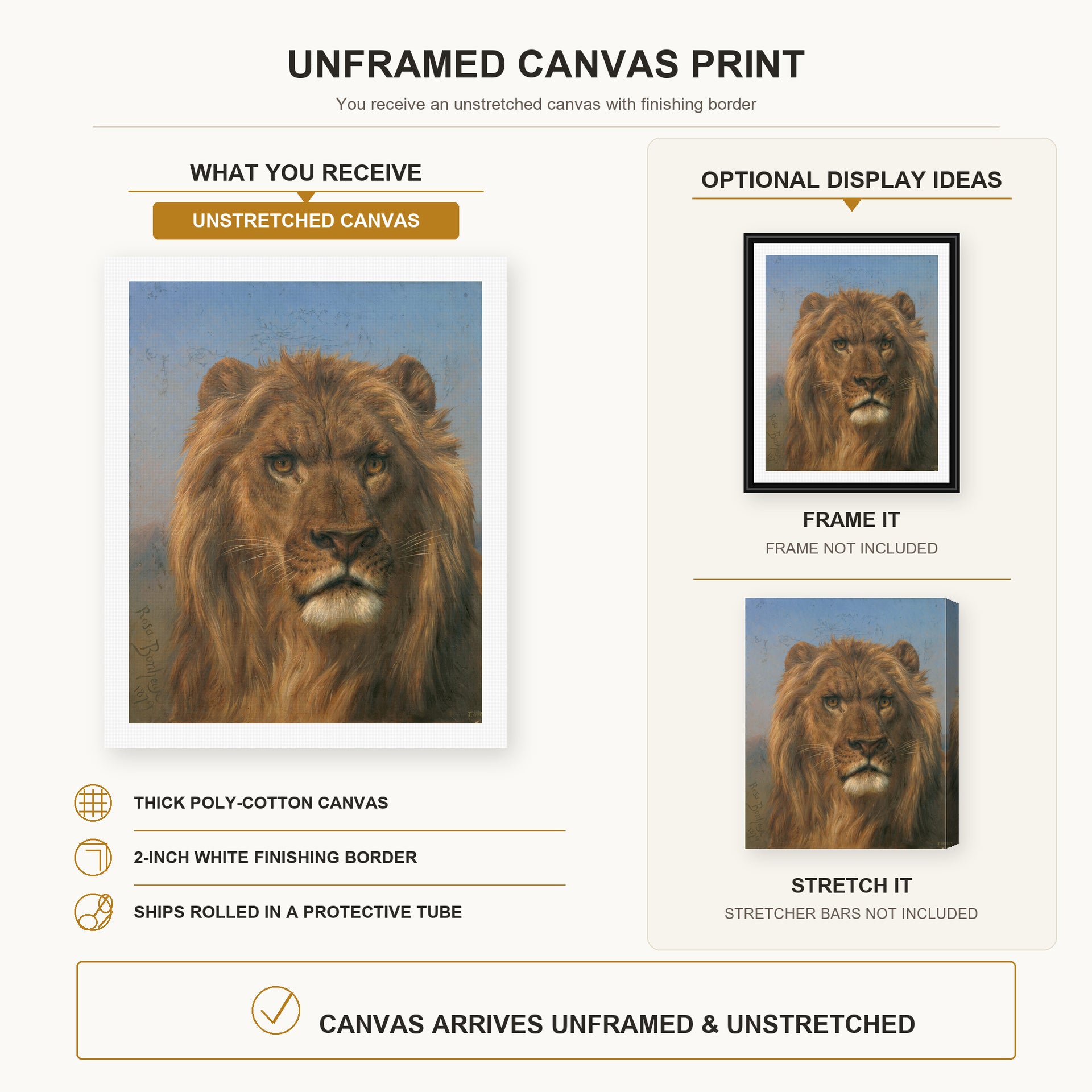 Rosa Bonheur - Portrait of a Lion canvas print size comparison and framing display infographic