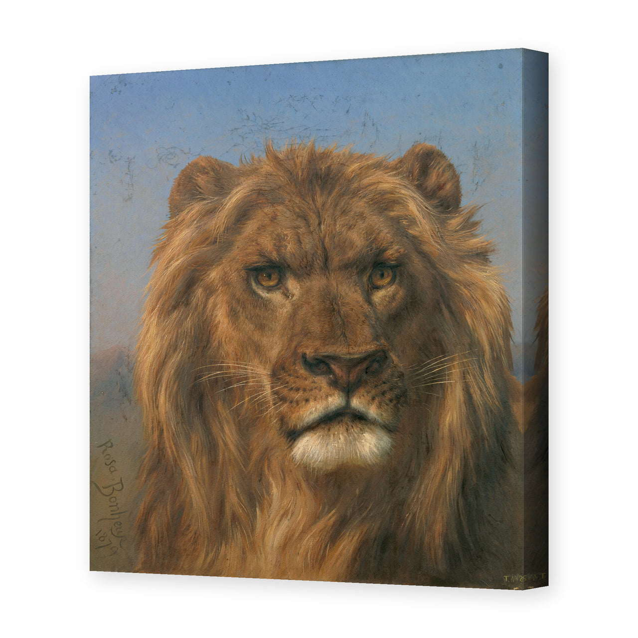 Rosa Bonheur's 'Portrait of a Lion' painting reproduced as a gallery-wrapped canvas print