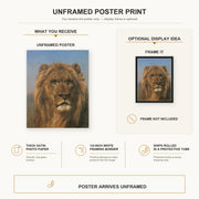 Rosa Bonheur - Portrait of a Lion poster print size comparison and framing display infographic