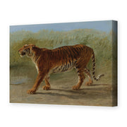 Rosa Bonheur's 'Royal Tiger Marching' painting reproduced as a gallery-wrapped canvas print