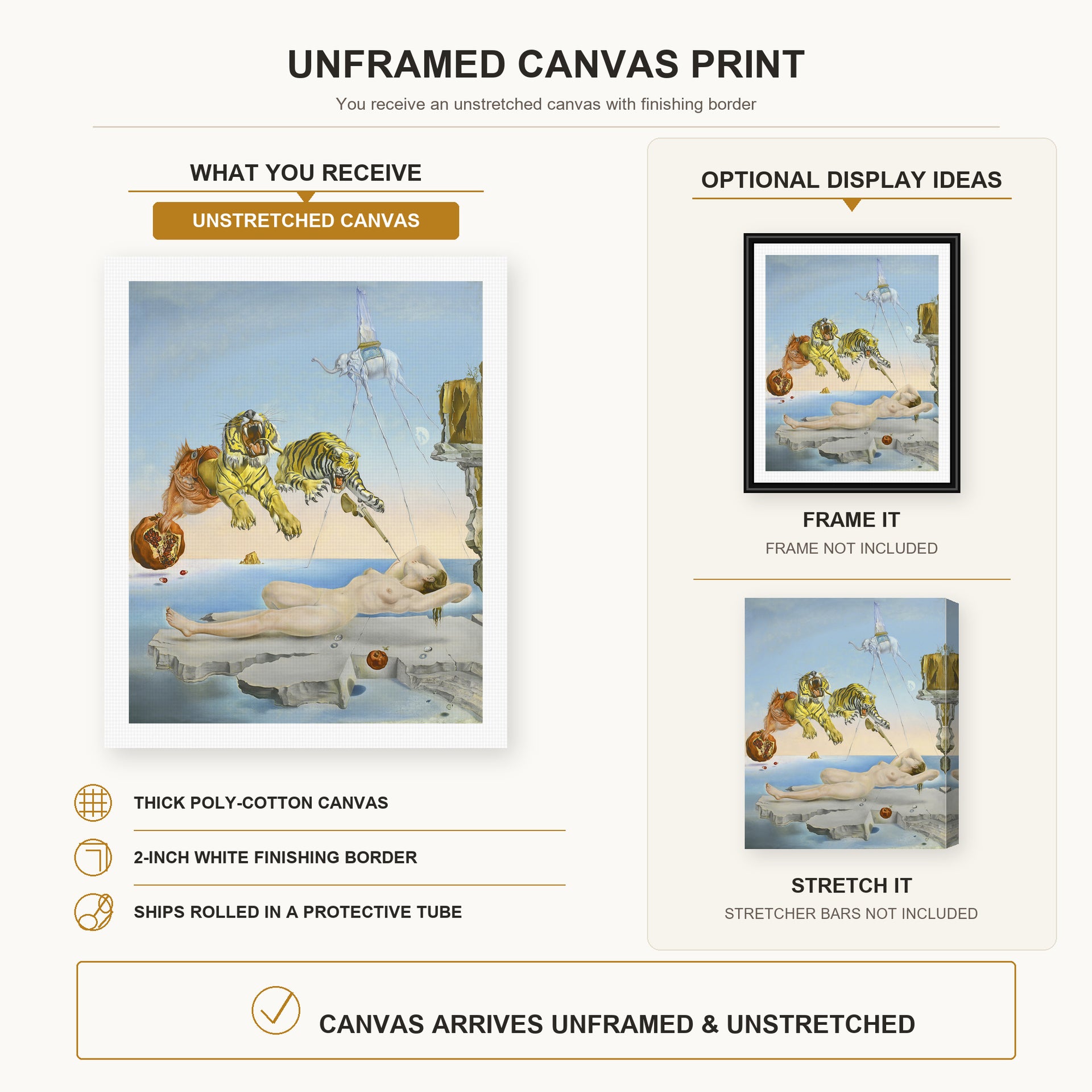 Salvador Dali - Dream Caused by the Flight of a Bee around a Pomegranate a Second before Wakening up canvas print size comparison and framing display infographic
